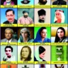 Stickery Important Personalities of Pakistan - 10Pcs of Pack