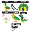 Kids Learning Educational Foam Wall Birds Animal