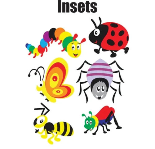 Kids Learning Educational Foam Wall Insects