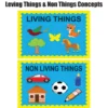Kids Learning Educational Foam Wall Living Things Concept