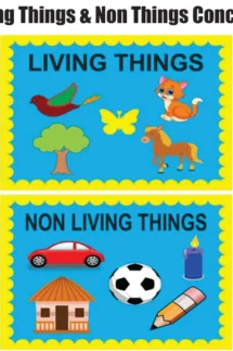 Kids Learning Educational Foam Wall Living Things Concept