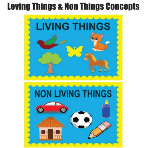 Kids Learning Educational Foam Wall Living Things Concept