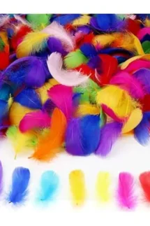 Feather Fancy Medium (20 Pcs)- Multicolour