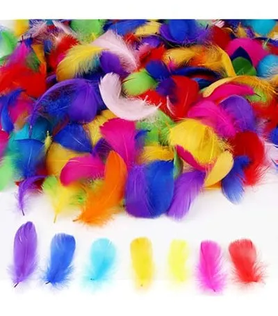 Feather Fancy Medium (20 Pcs)- Multicolour Feather Fancy Medium (20 Pcs)- Multicolour