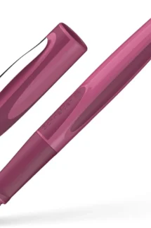 Schneider Ray Rollerball Pen 1pc