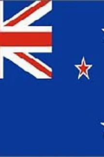 New Zealand Flag 15x22cm