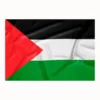 Palestine Flag 15x22cm