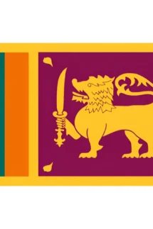 Sri Lanka Flag 15x22cm